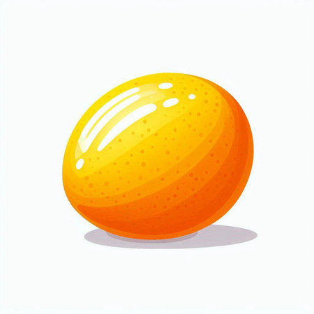 Illustration of an orange on a white background. Vector illustration.のイラスト素材