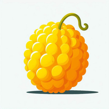 Illustration of yellow melon on white background. Vector illustration.のイラスト素材