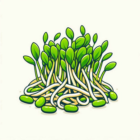 Illustration of a healthy microgreen. Vector illustration of a microgreens.のイラスト素材