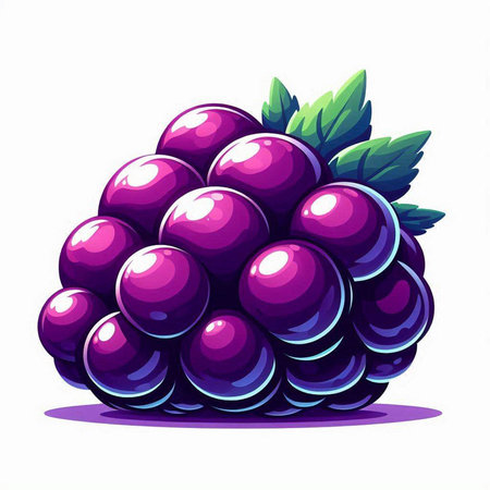 Illustration of a bunch of purple grapes with leaves on a white backgroundのイラスト素材