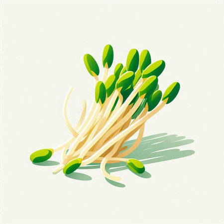 Mung bean sprouts. Vector illustration of microgreens.のイラスト素材