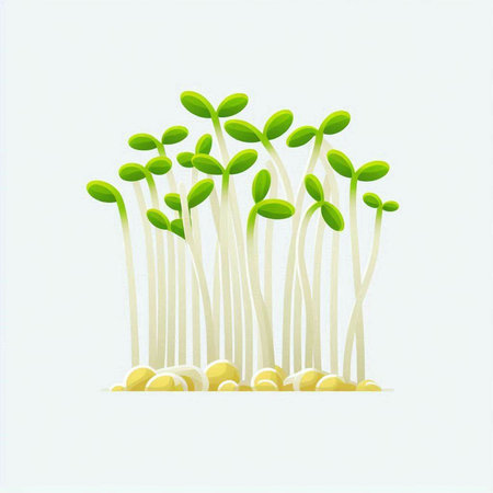 Microgreens on a white background. Vector illustration. Eps 10のイラスト素材