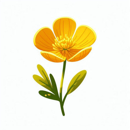 yellow flower isolated on a white background. watercolor vector illustration.のイラスト素材