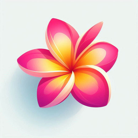 Frangipani flower on a white background. Vector illustration.のイラスト素材