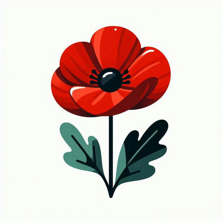 Red poppy flower isolated on white background. Hand drawn vector illustration.のイラスト素材