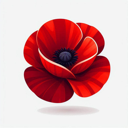 Red poppy flower on white background. Vector illustration. Eps 10.のイラスト素材