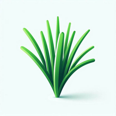 Illustration of a green grass isolated on a white background - vectorのイラスト素材