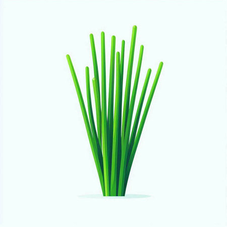 Vector illustration of green chives isolated on a white background. Flat style.のイラスト素材