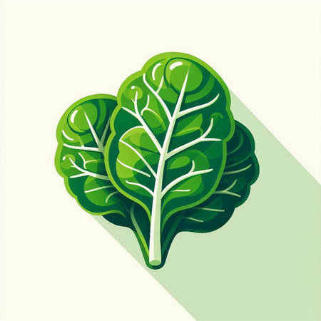 Lettuce icon, vector illustration. Flat design style with long shadowのイラスト素材