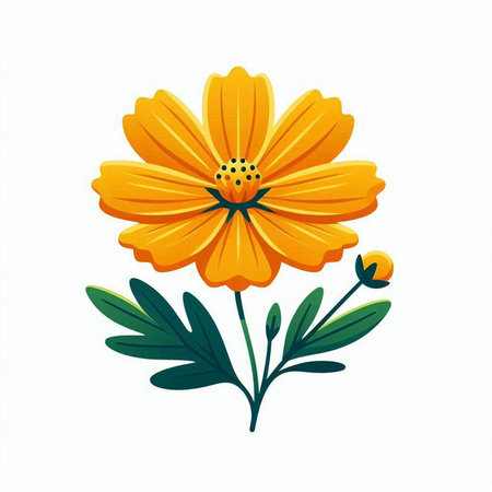 Beautiful yellow flower on a white background. Vector illustration for your designのイラスト素材