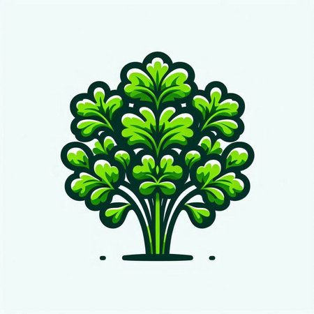 Vector illustration of parsley. Isolated on a white background.のイラスト素材