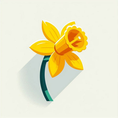 Flower daffodil, flat design, vector illustration.のイラスト素材