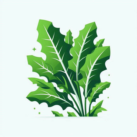 Green leaves of arugula on a white background. Vector illustrationのイラスト素材