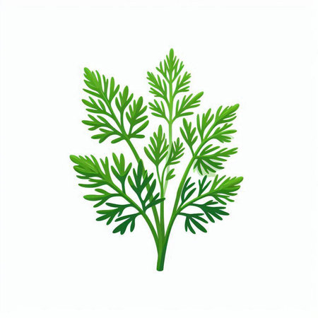 Piano keyboard isolated on a white background. 3d render.のイラスト素材