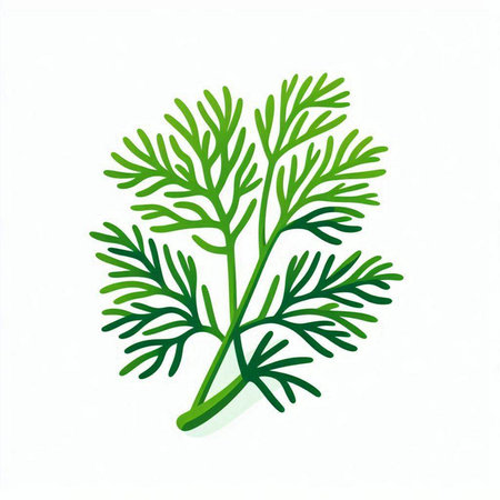 Dill leaves isolated on white background. Vector illustration. Eps 10.のイラスト素材
