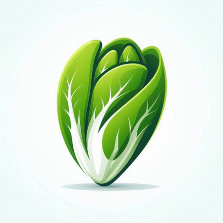 Lettuce icon on white background. Vector illustration. Eps 10.のイラスト素材