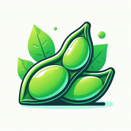 Soybean with green leaves and drops of water. Vector illustration.のイラスト素材