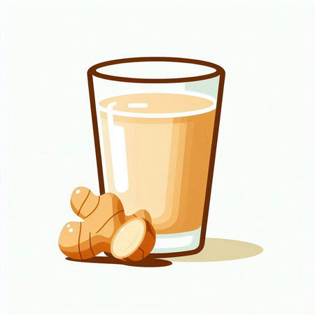 Glass of ginger juice and ginger root on white background. Vector illustration.のイラスト素材