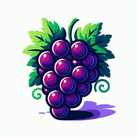 Grapes vector illustration isolated on white background. Vector illustration.のイラスト素材