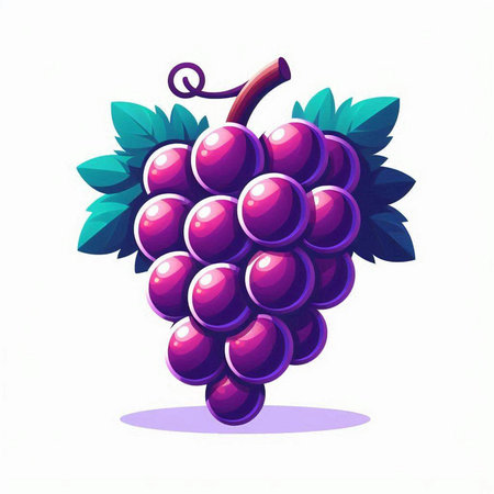 Illustration of a bunch of grapes on a white background, vector illustrationのイラスト素材