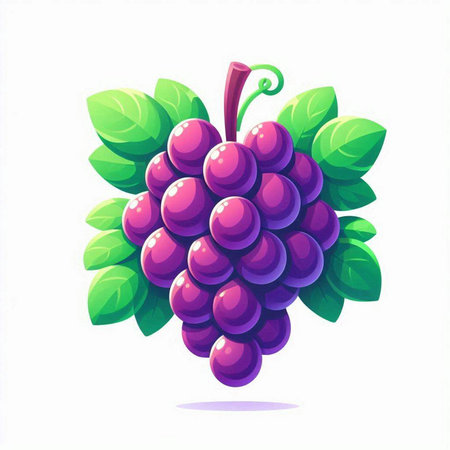Grapes bunch with leaves isolated on white background. Vector illustration.のイラスト素材