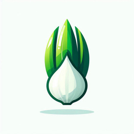 Illustration of fresh green onion on white background, vector illustration.のイラスト素材