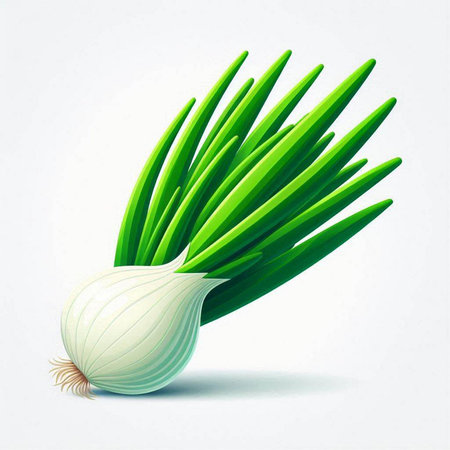 Green onion isolated on a white background. Vector illustration for your designのイラスト素材