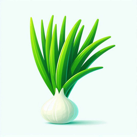 Illustration of fresh green onion on white background. Vector illustration.のイラスト素材