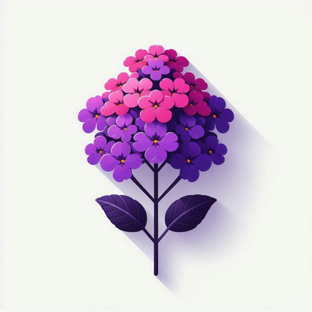 Purple hydrangea flowers on white background. Vector illustration.のイラスト素材