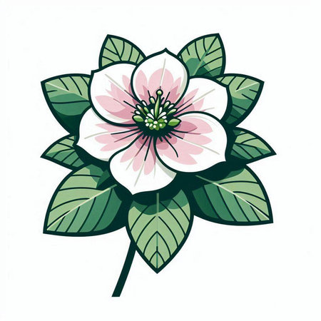 Illustration of a flower with green leaves on a white background.のイラスト素材