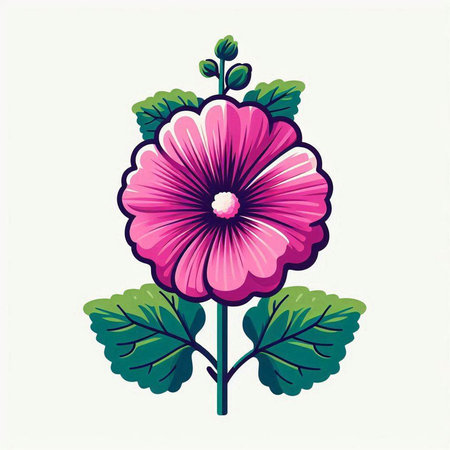Illustration of a pink hollyhock flower on a white backgroundのイラスト素材