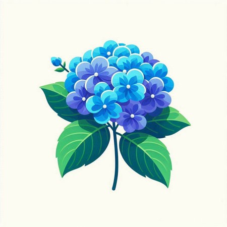 Blue hydrangea flowers on white background. Vector illustration.のイラスト素材