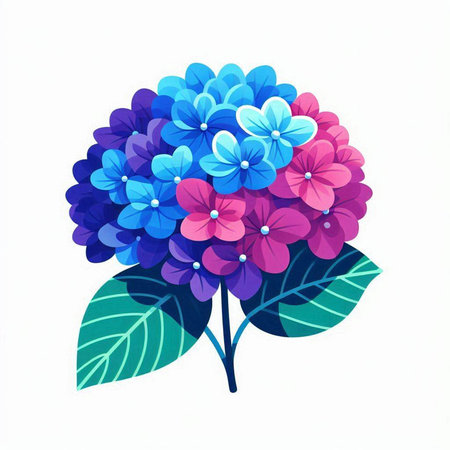 Hydrangea flower isolated on white background. Hand drawn vector illustration.のイラスト素材