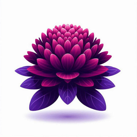 Purple chrysanthemum isolated on white background. Vector illustration.のイラスト素材