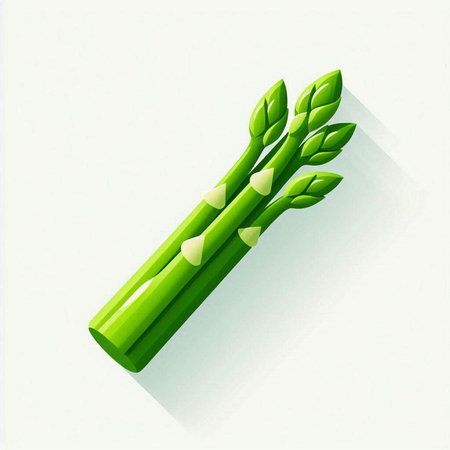 Green asparagus on white background. Vector illustration. Eps 10のイラスト素材
