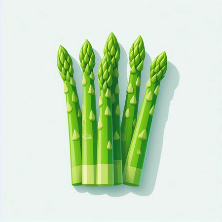 Green asparagus isolated on a white background. Vector illustration.のイラスト素材