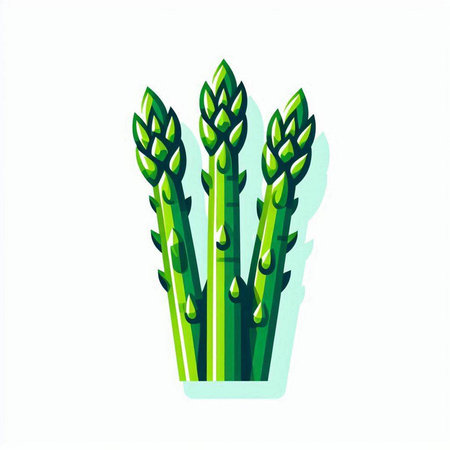 Green asparagus icon isolated on white background, vector illustration.のイラスト素材