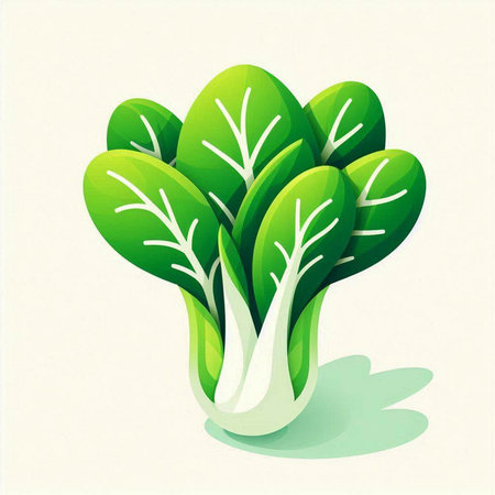 Fresh green bok choy isolated on white background. Vector illustration.のイラスト素材