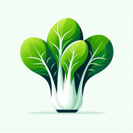 Bok choy on white background. Vector illustration. Eps 10.のイラスト素材