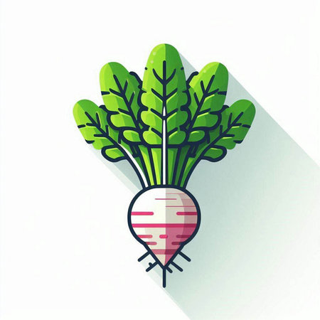 Radish flat icon with long shadow. Vegetable vector illustration.のイラスト素材