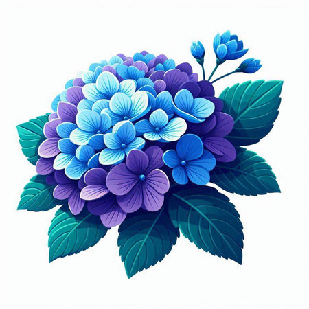 Blue hydrangea flower isolated on white background. Vector illustration.のイラスト素材