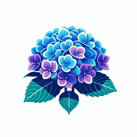 Blue hydrangea on a white background. Vector illustration.のイラスト素材