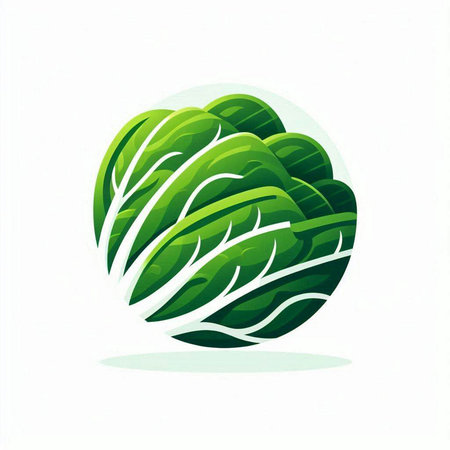 Cabbage icon isolated on white background. Vector illustration for your designのイラスト素材