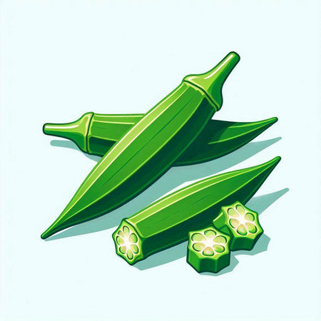 Illustration of fresh okra on a white background. Vector illustration.のイラスト素材