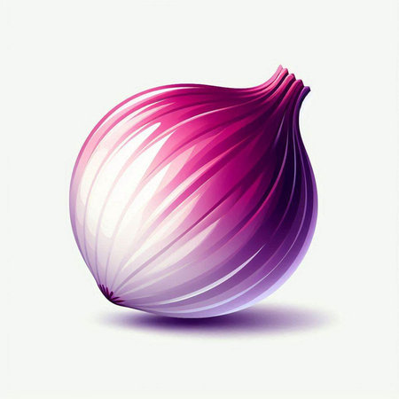 Illustration of a red onion on a white background with a shadowのイラスト素材