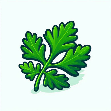 Fresh green parsley isolated on a white background. Vector illustration.のイラスト素材