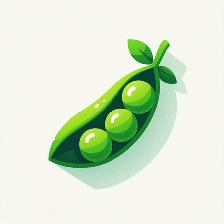 Green peas in a pod on a white background. Vector illustration.のイラスト素材