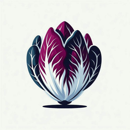 cabbage vegetable icon over white background. colorful design. vector illustrationのイラスト素材