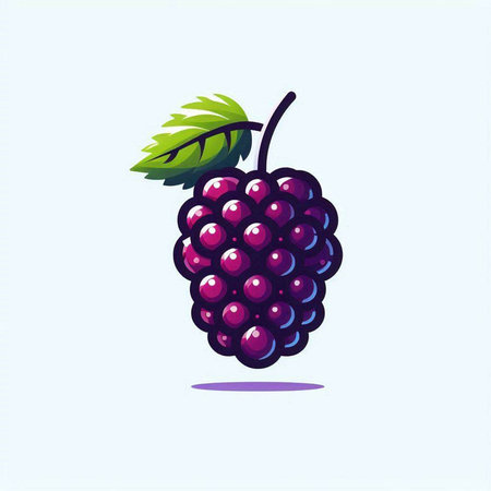 blackberry vector illustration on white background. vector illustration of blackberryのイラスト素材