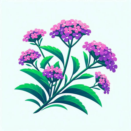 Illustration of a bunch of purple flowers on a white background.のイラスト素材